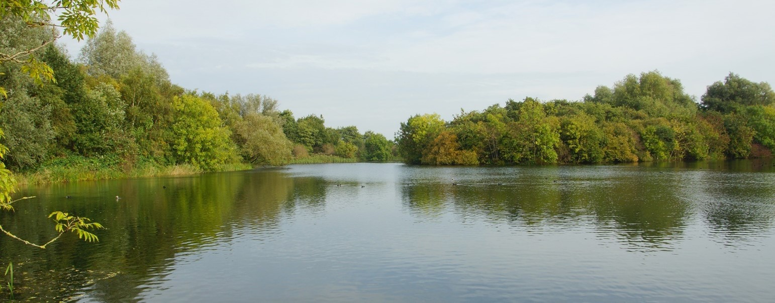(Zevenhuizerplas). Foto van Jikke Lont.
Ruimte
